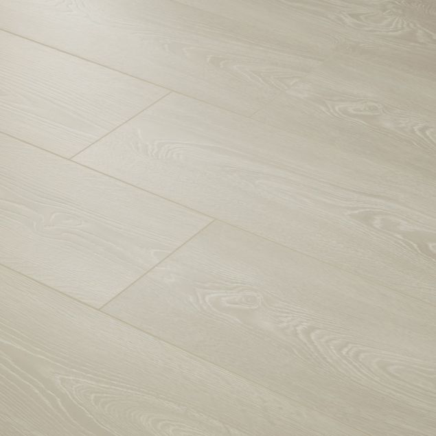 Falco laminate in amis